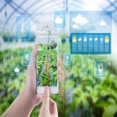 智慧農業新篇章 物聯網智能溫室冷棚一體化種植系統規劃設計與技術開發